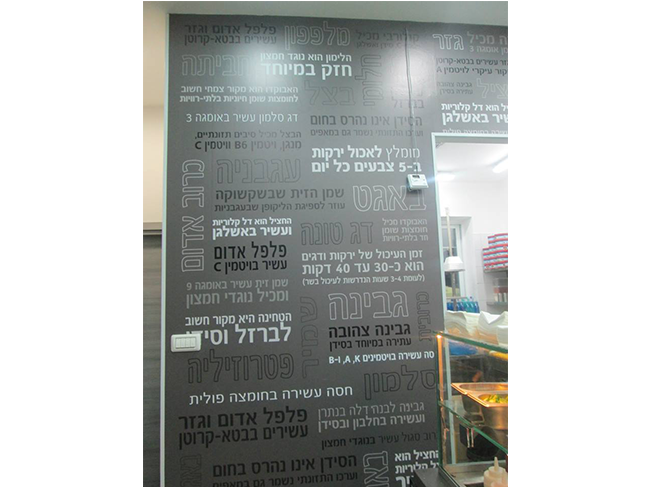 השלט - פרוייקט מדיצ'י